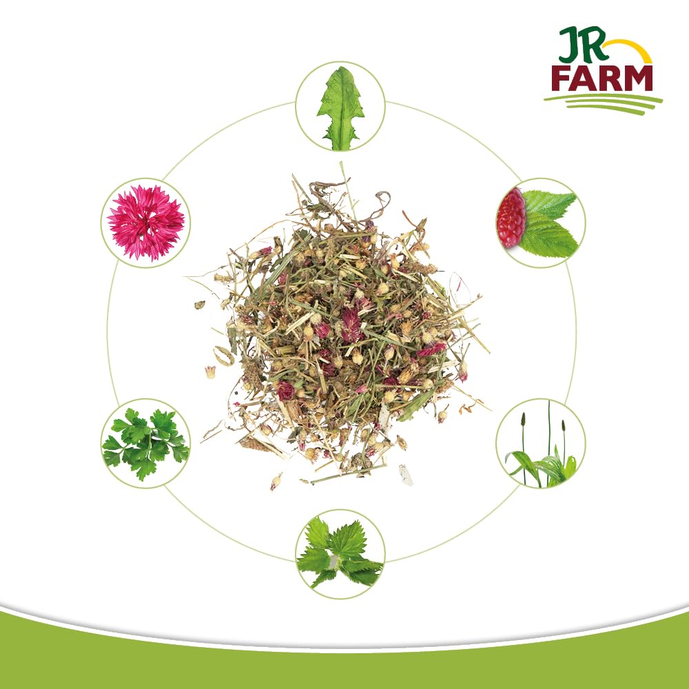 jr-farm-bl-ten-zauber-400-g-im-eimer-kr-uter-und-bl-tenmischung-f-r-zwergkaninch image 3