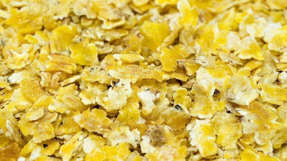 getzoo-premium-maisflocken-100g-energiereicher-ballaststoffreicher-snack-f-r-nag image 2
