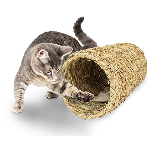 jr-farm-cat-bavarian-catnip-katzenminze-tunnel-aus-miscanthus-gras image 7