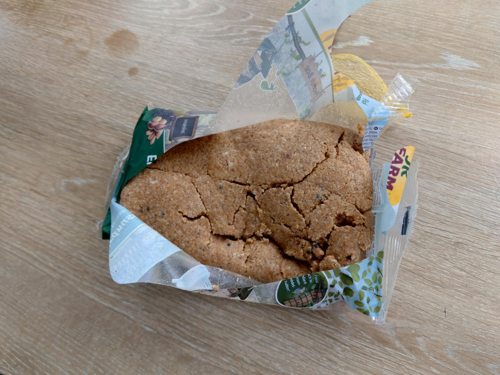 Vogelkino den ganzen Tag
