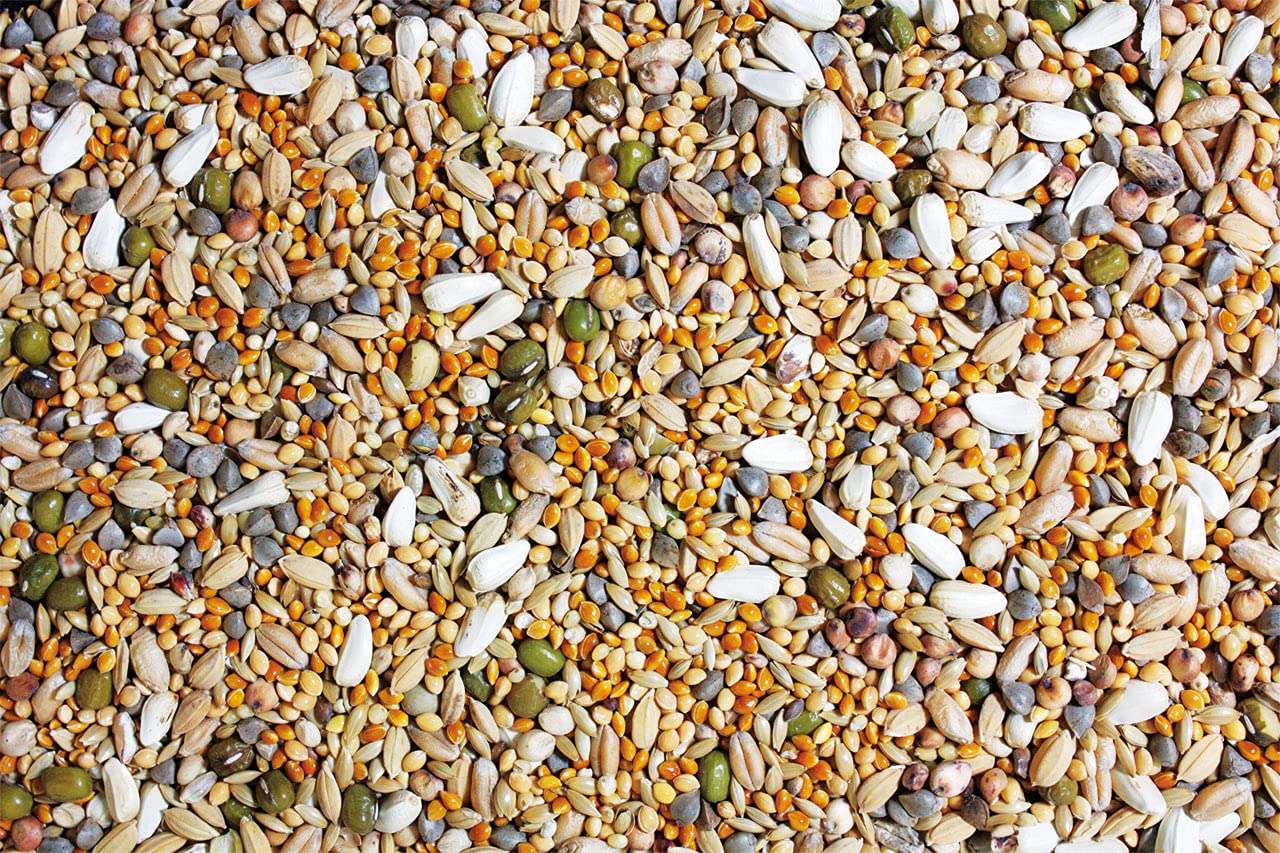 jr-farm-birds-keimfutter-gro-sittich-keimf-higes-erg-nzungsfutter-f-r-gro-sittic image 2