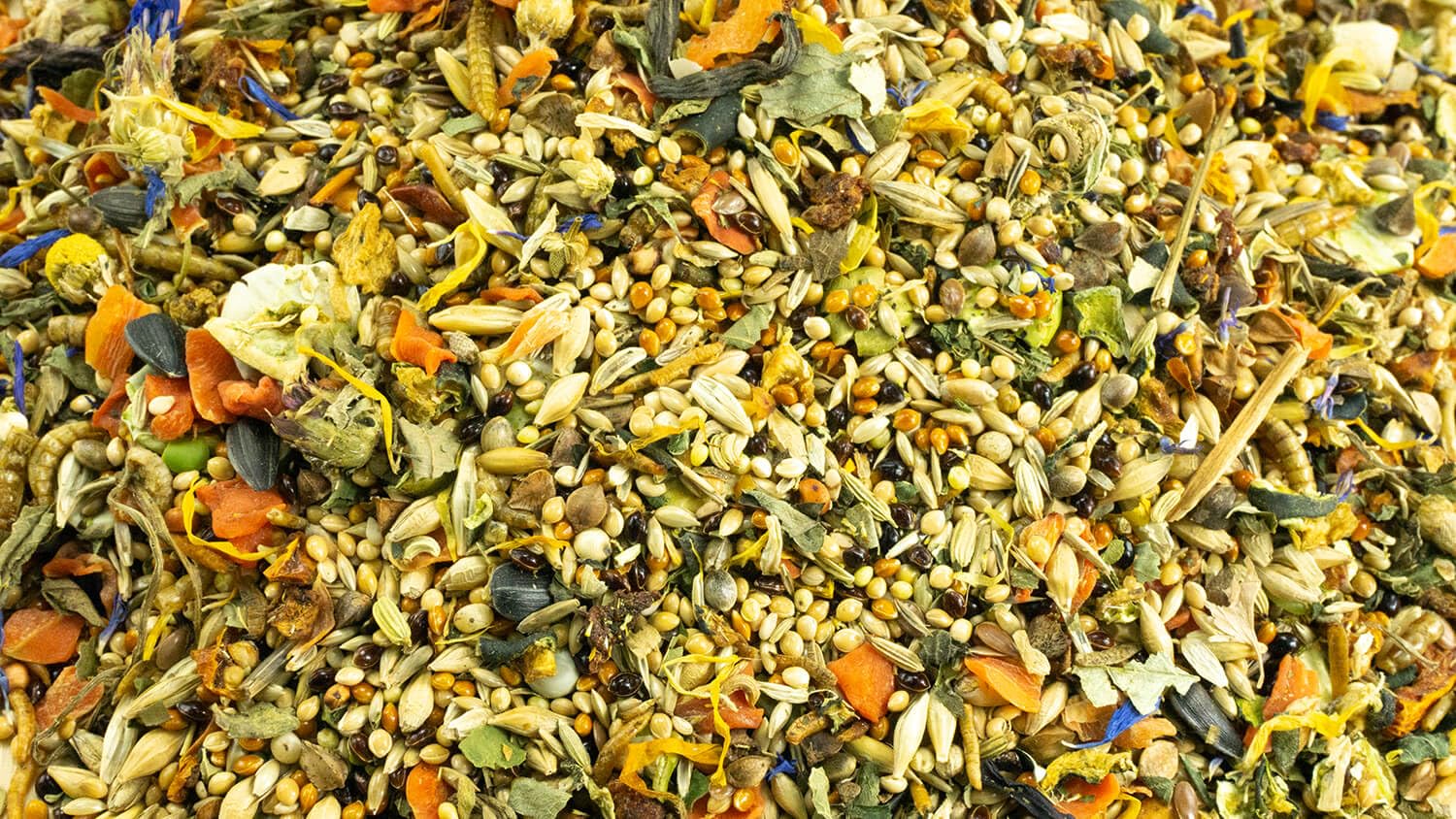 getzoo-farbmausfutter-500-g-ausgewogene-k-rnermischung-mit-tierischem-eiwei image 2
