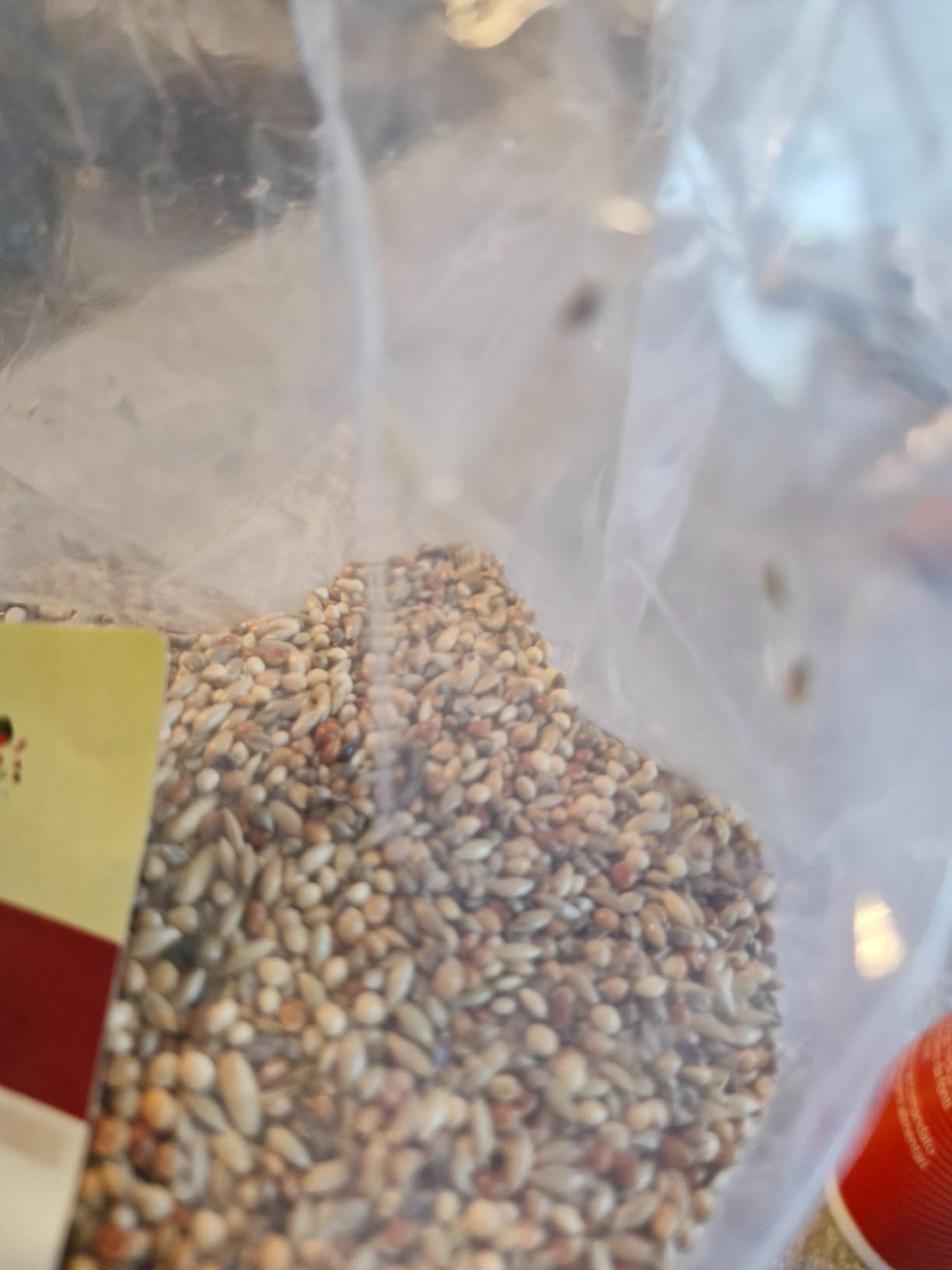 Endlich ohne Pellets