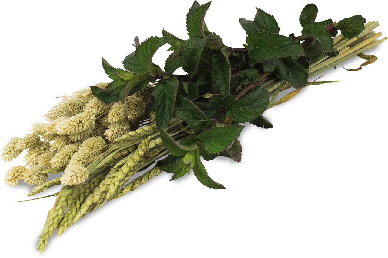 jr-farm-esn-kr-uter-ernte-80-g-w-rzige-kr-uter-und-saaten-f-r-nager image 2