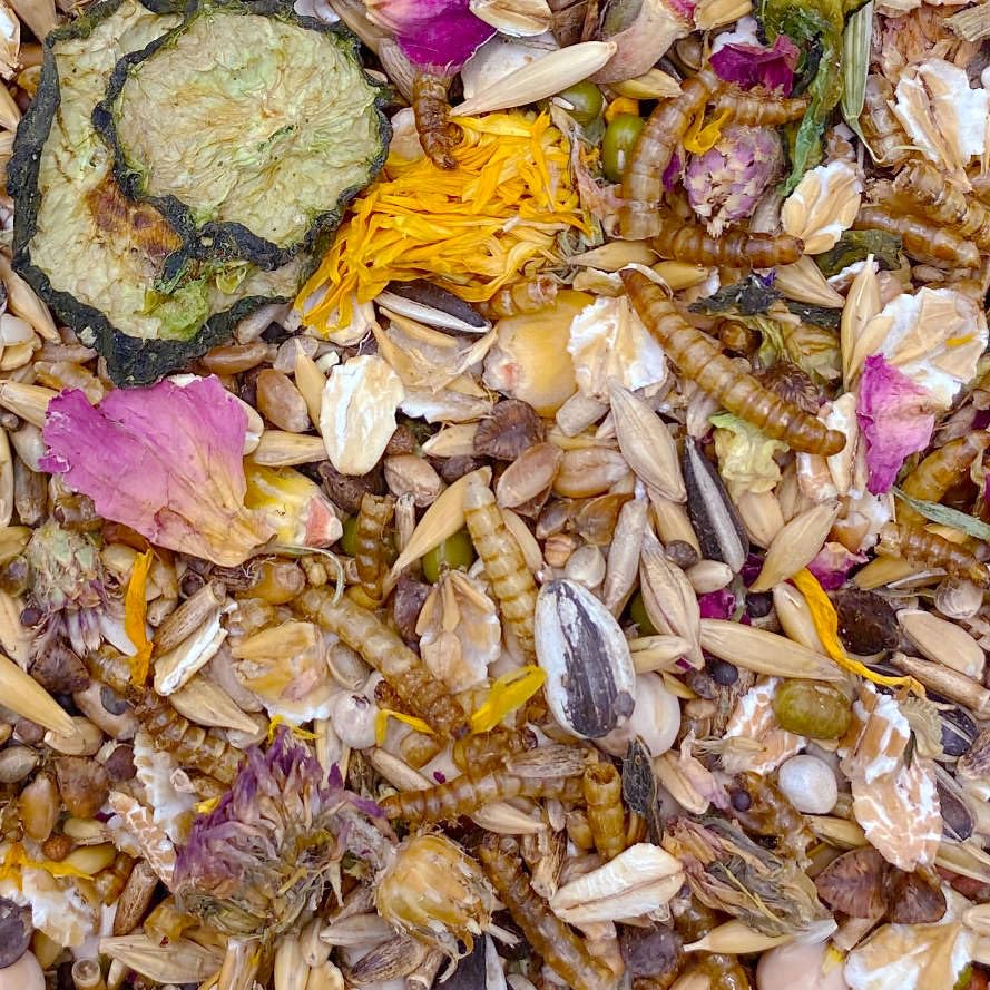 mixerama-mittelhamster-gourmet-men-artgerechtes-hamsterfutter-ohne-pellets image 8