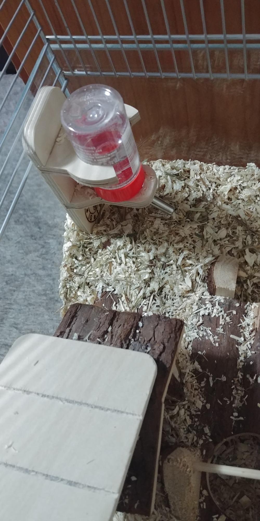 Praktisch, Holz quillt etwas auf