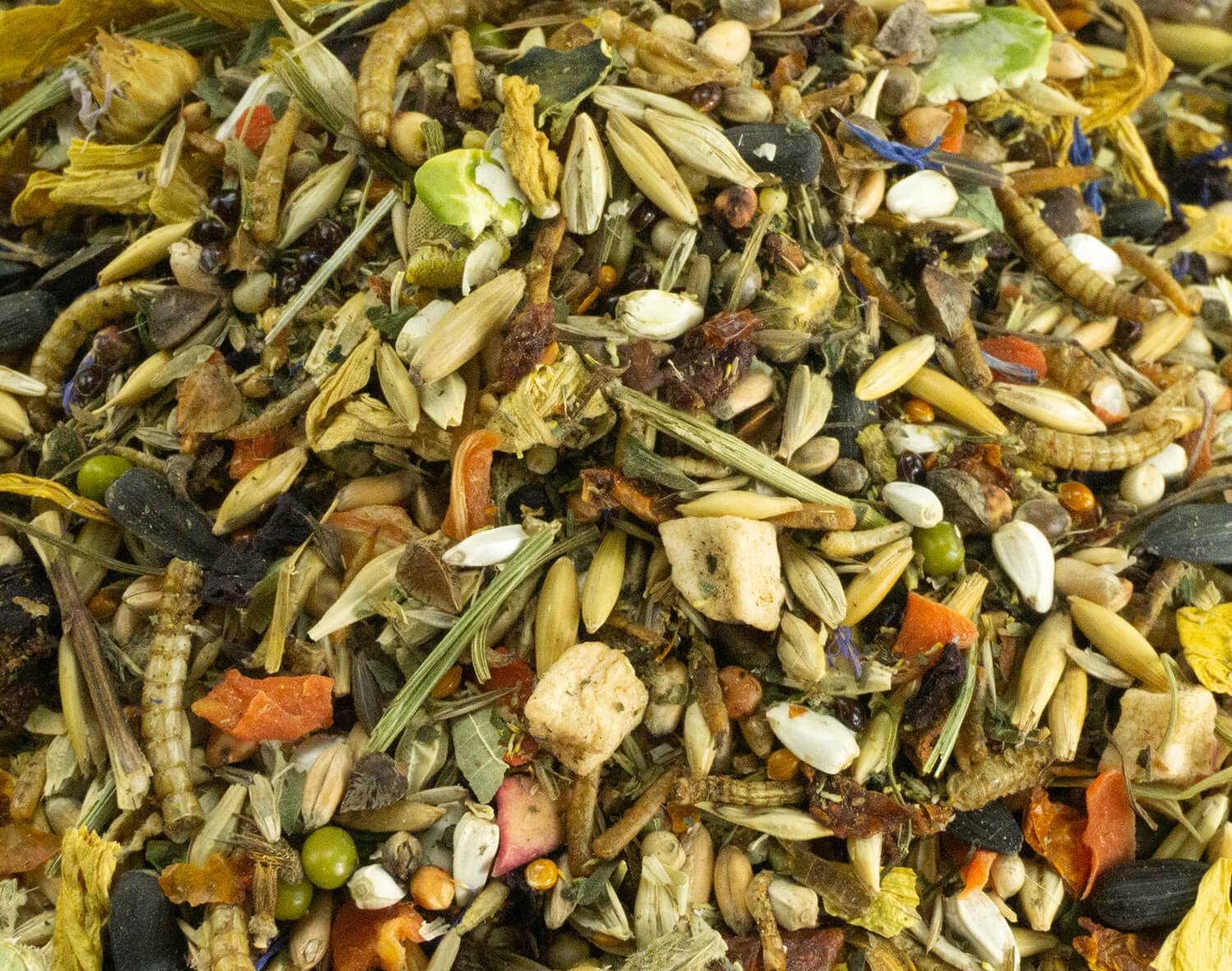 getzoo-goldhamsterfutter-500-g-mit-urgetreide-obst-gem-se-und-insekten image 2