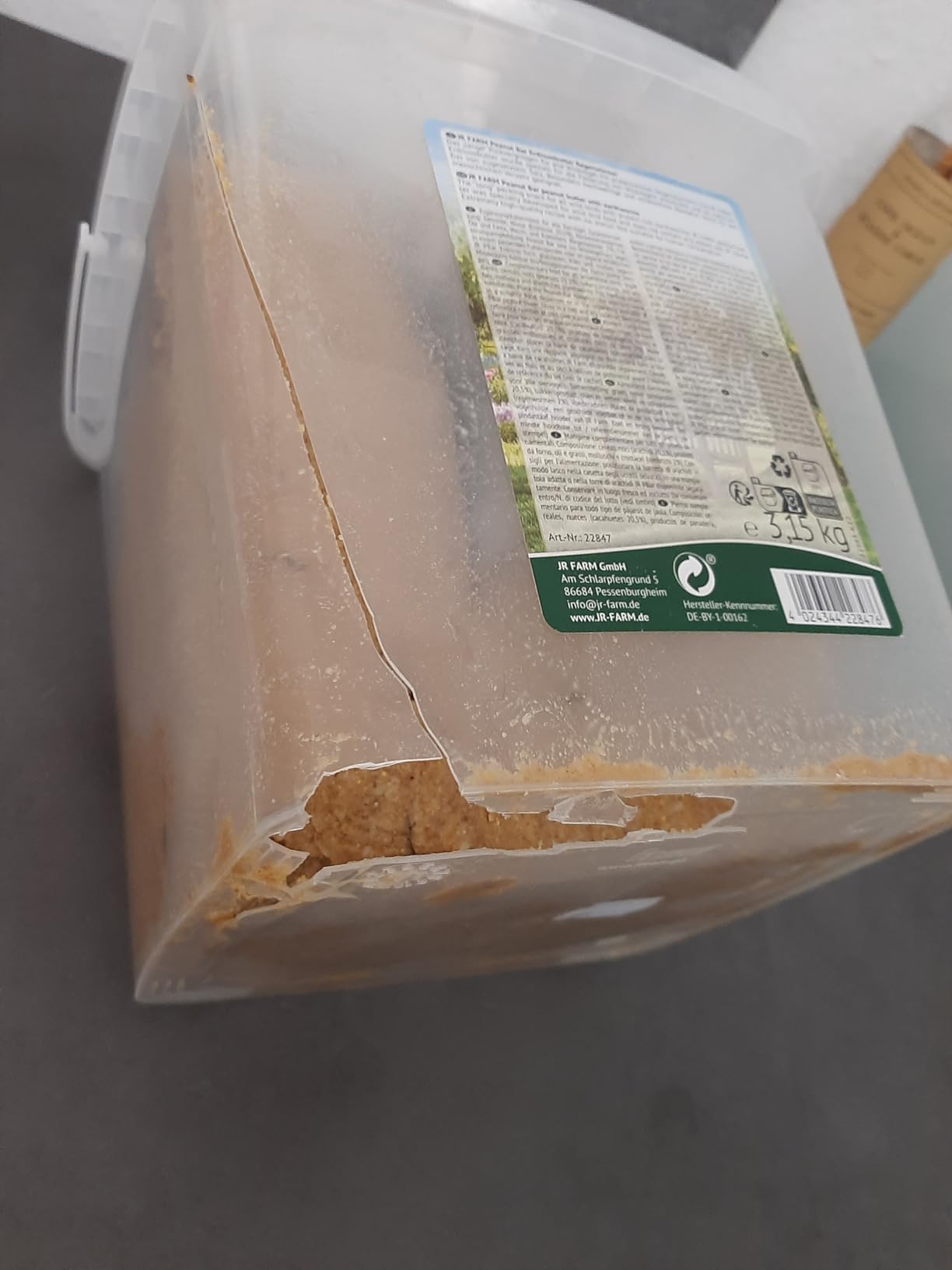 Unsere Vogeloase dank Erdnussbutter