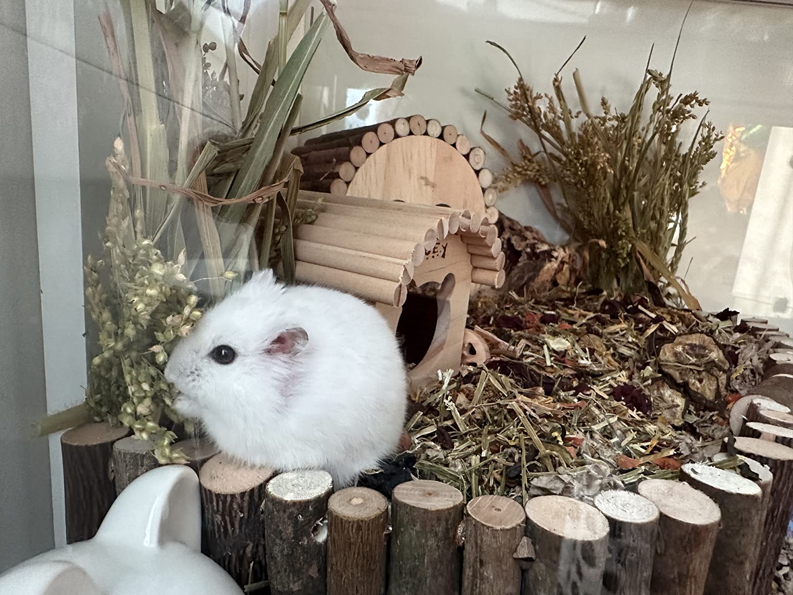 Abwechslung im Napf