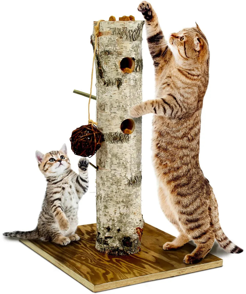 jr-farm-cat-back-to-instinct-nature-active-tree-kratz-und-spielstamm-aus-birke image 1