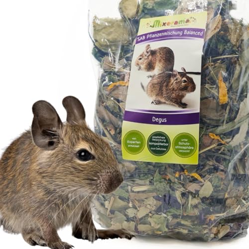 mixerama-degus-sab-pflanzenmischung-balanced-getreidefreies-alleinfutter-ohne-pe image 6