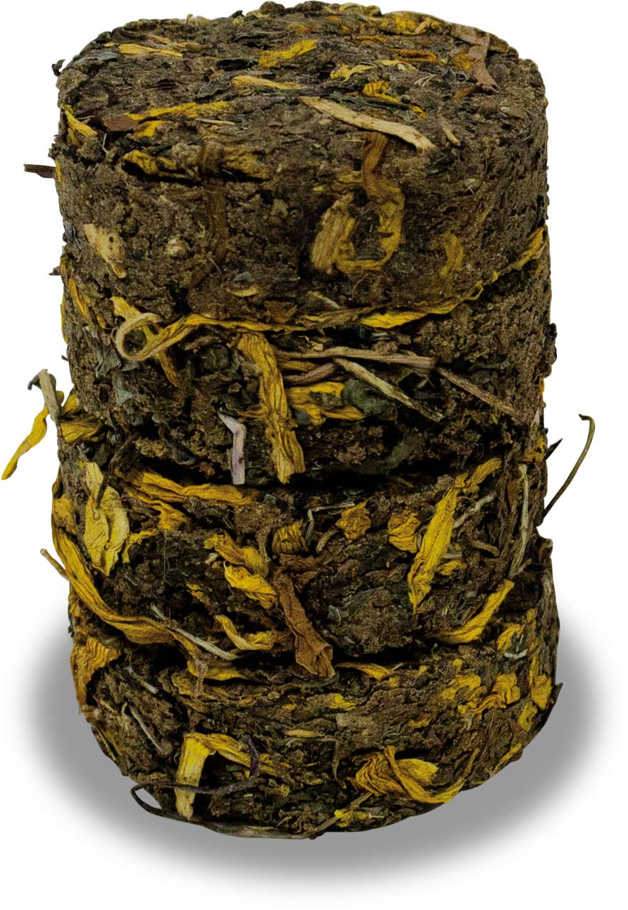 jr-farm-grainless-kr-uterolis-l-wenzahn-sonnenblume-80-g image 3