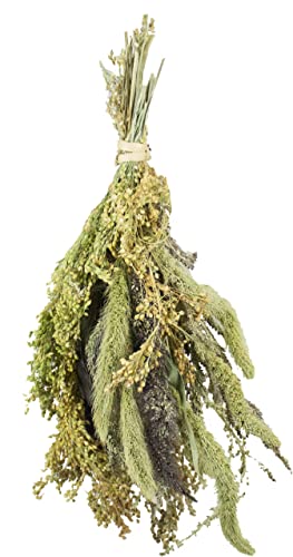 jr-farm-birds-hirsen-potpourri-50-g-erg-nzungsfutter-f-r-v-gel image 6