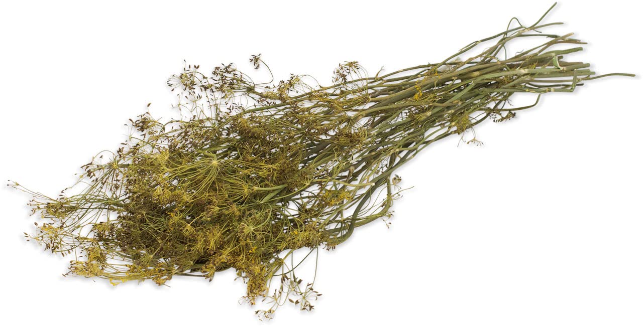 jr-farm-esn-dill-ernte-80-g-getrocknete-dillpflanze-f-r-nager image 2
