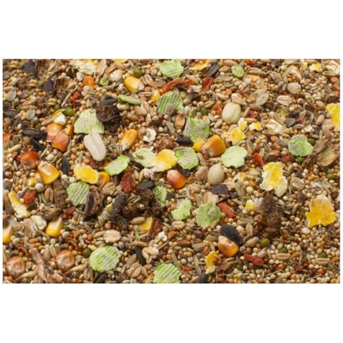 jr-farm-rennm-use-schmaus-alleinfutter-600-g image 8