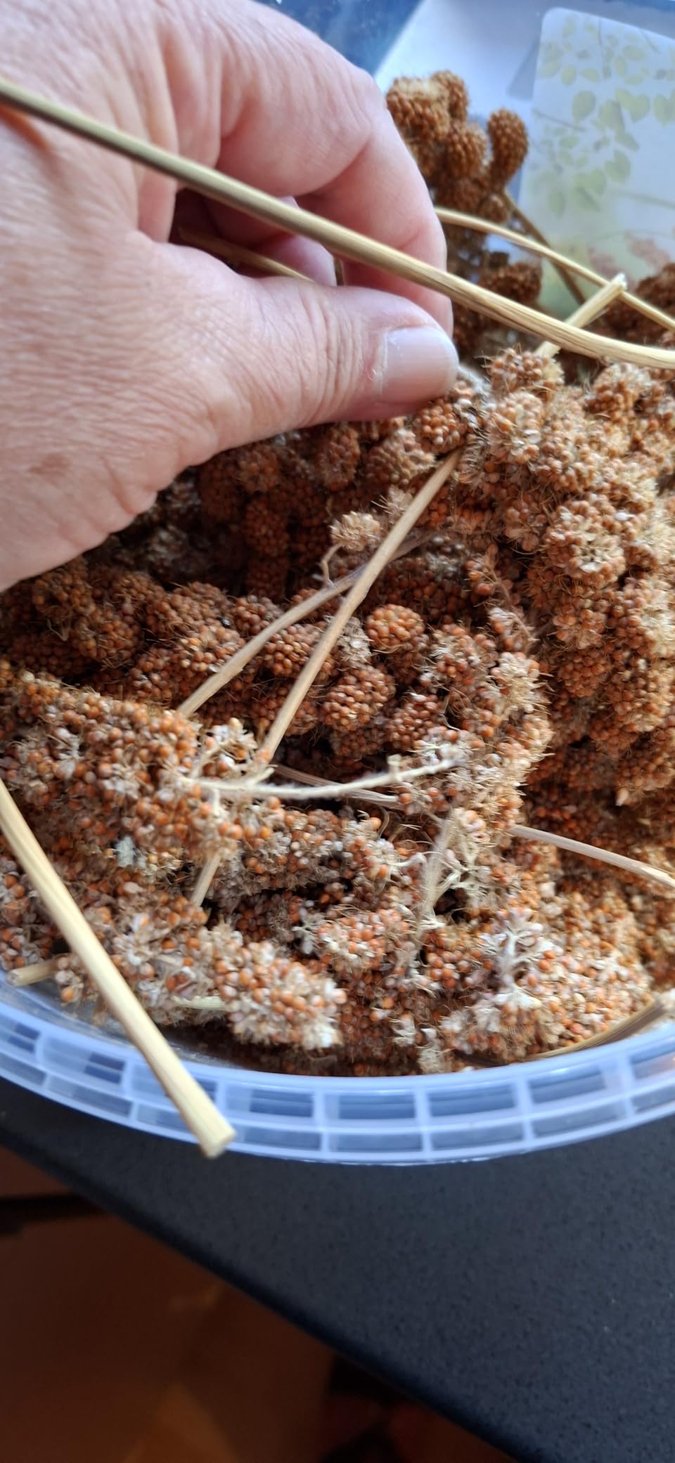 Guter Beschäftigungssnack