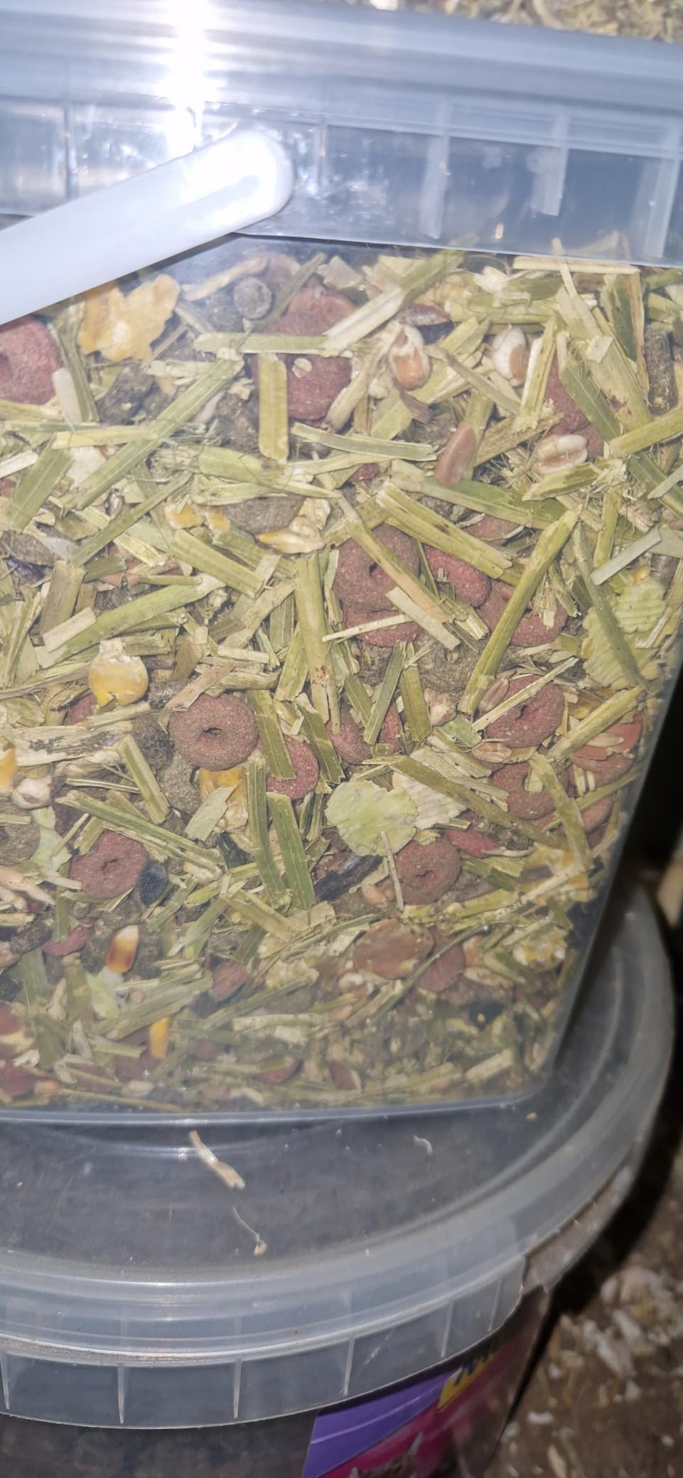 Praktischer Eimer