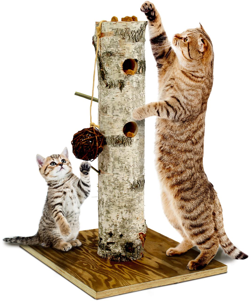 jr-farm-cat-back-to-instinct-nature-active-tree-kratz-und-spielstamm-aus-birke image 1
