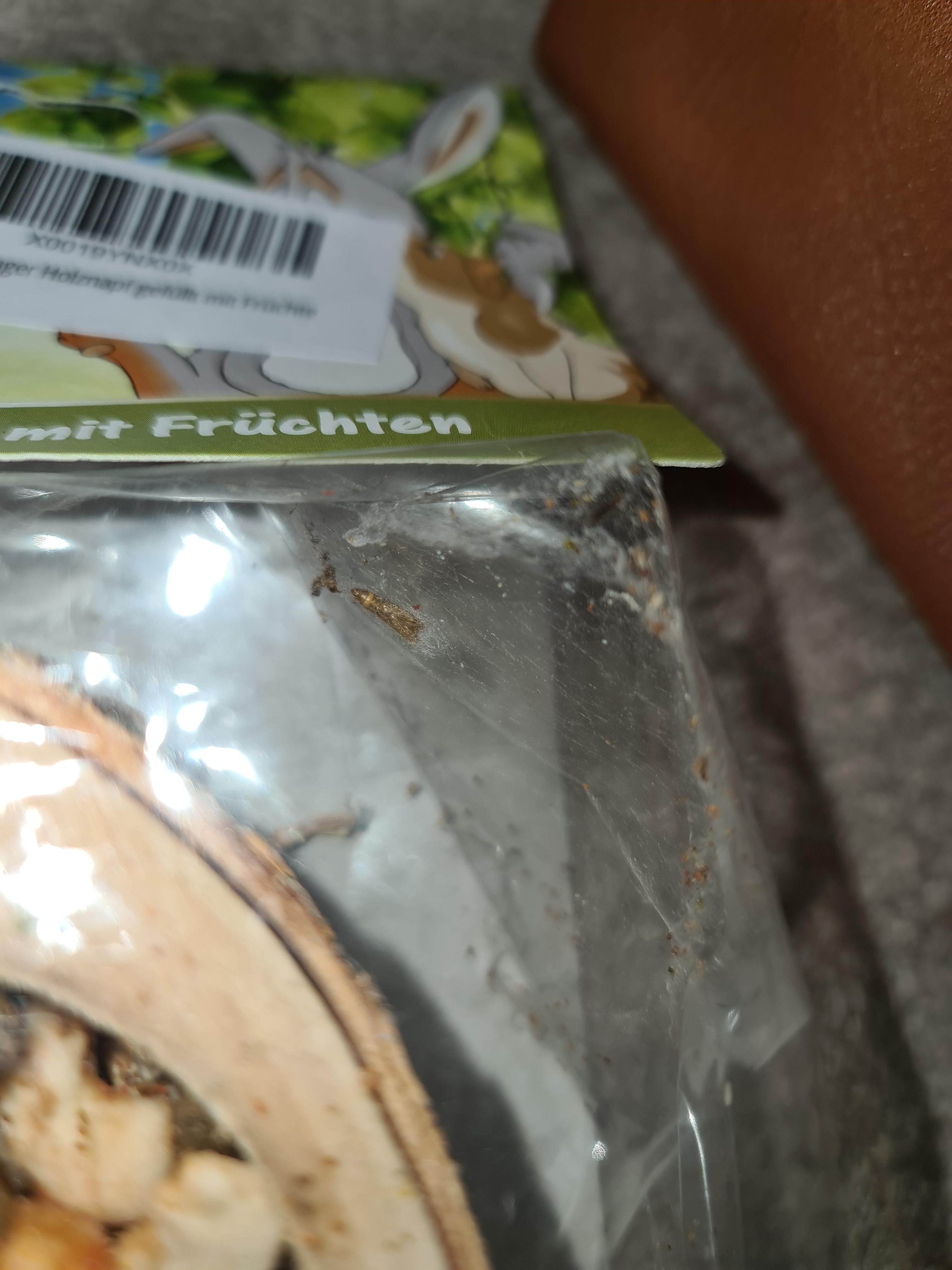 Doppelt Freude für meine Rennmäuse