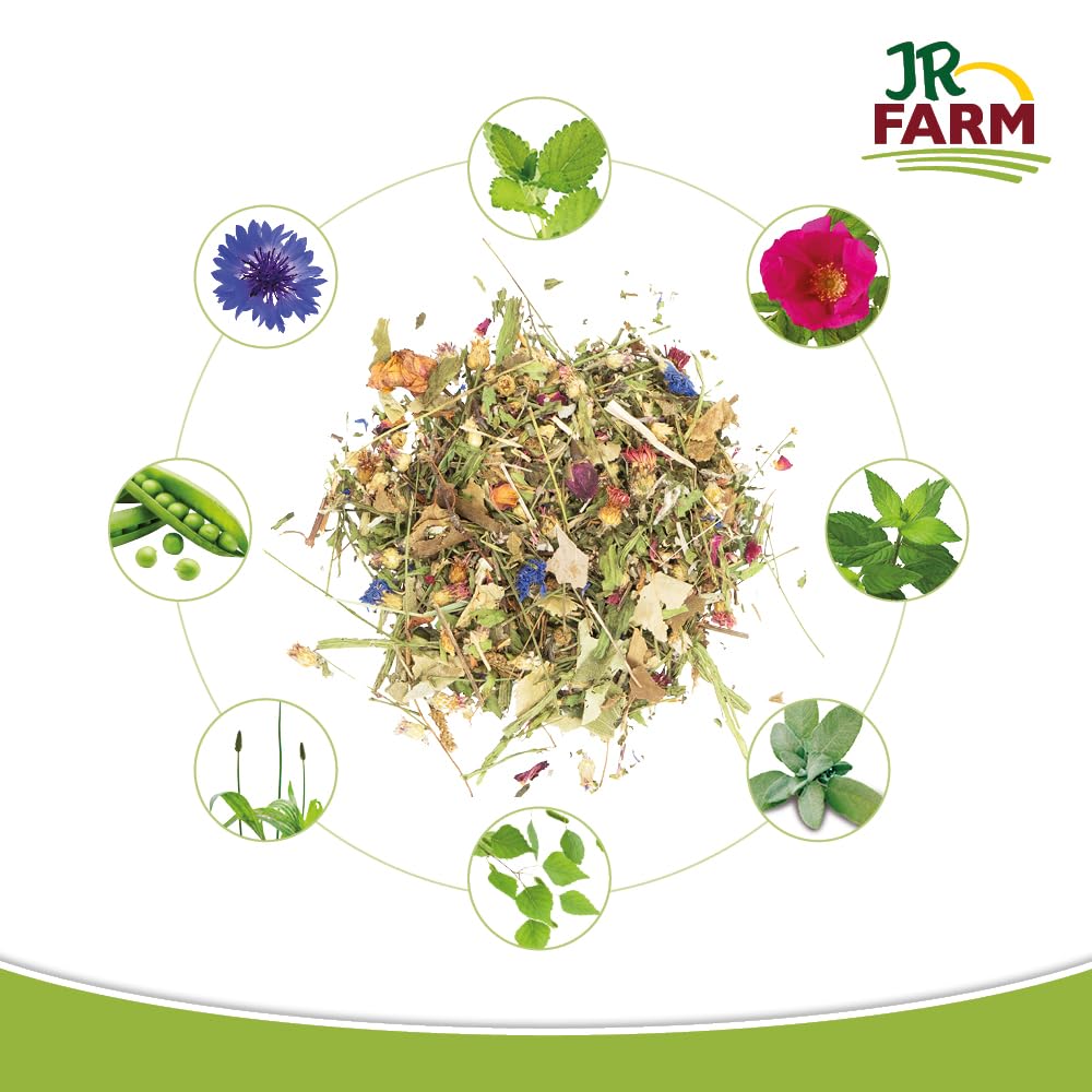jr-farm-kr-uter-oase-470-g-im-eimer-kr-utermischung-f-r-zwergkaninchen-und-nager image 3