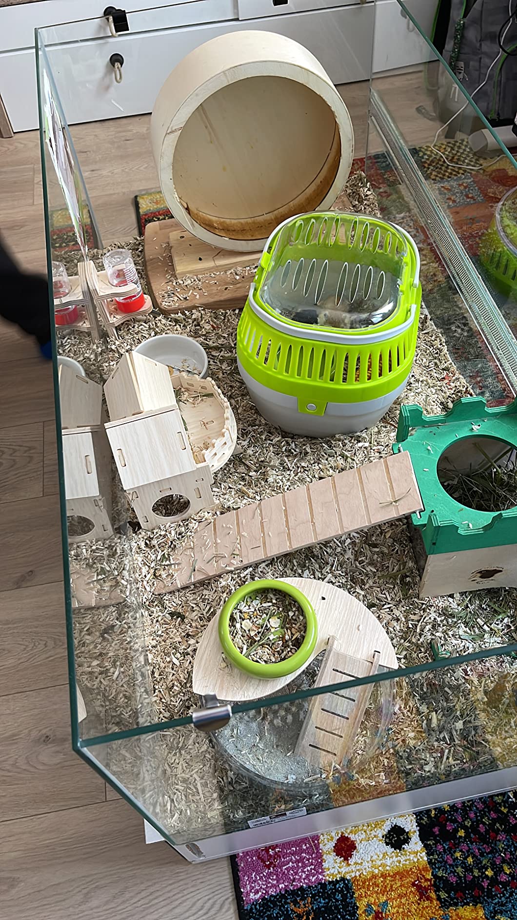 Top für meinen Hamster