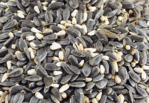 getzoo-sonnenblumenkern-mischung-100g-leckere-mischung-mit-kardi-f-r-nagetiere image 5