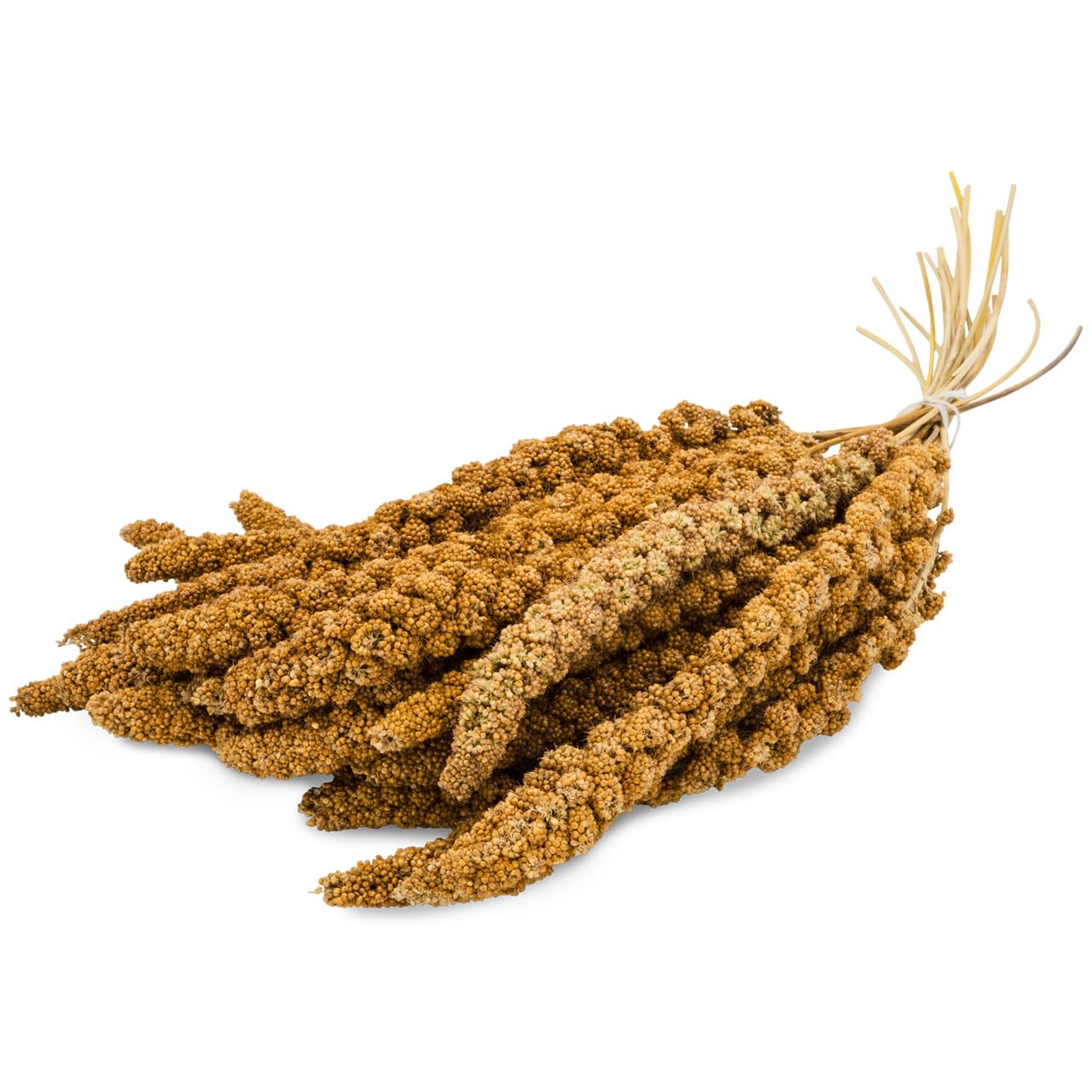 jr-farm-birds-kolbenhirse-gelb-500-g-vogel-snack image 2