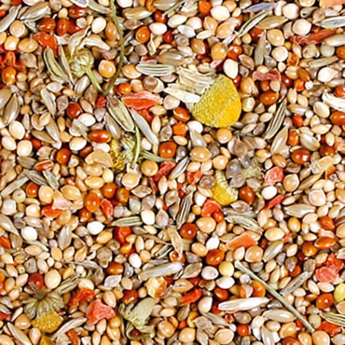 jr-farm-birds-individual-prachtfink-vogelfutter-1-kg image 5