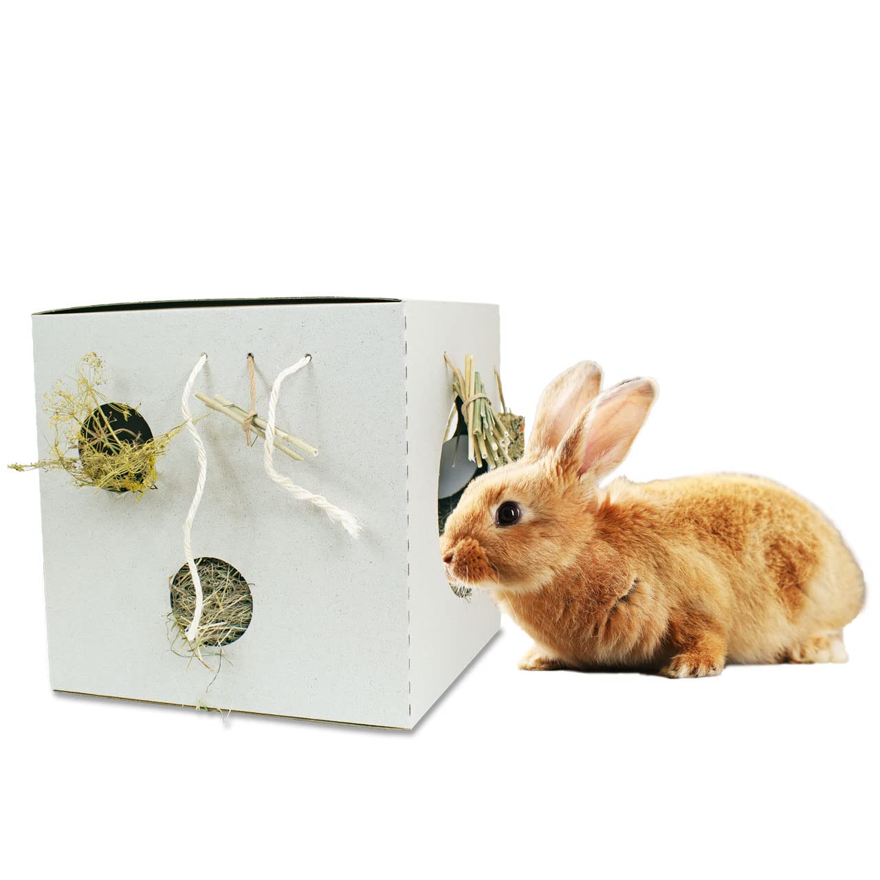jr-farm-plasticfree-active-box-nagerbesch-ftigung-1-1-kg image 4