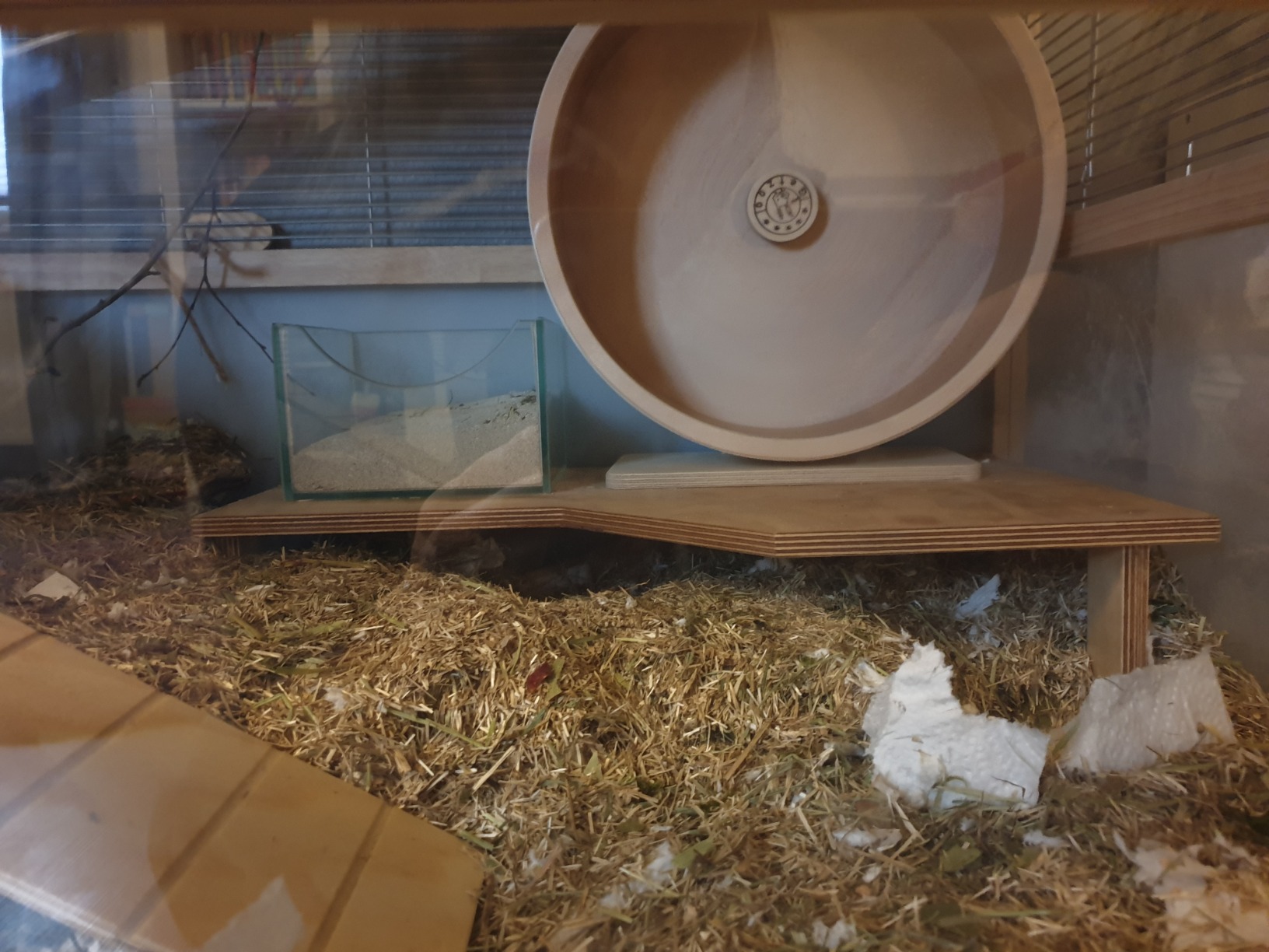 Perfekt fürs Hamstergehege