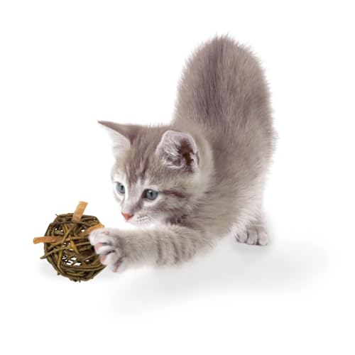 jr-farm-cat-nature-ball-h-hnerfilet-katzenspielball-aus-weide-15-g image 7