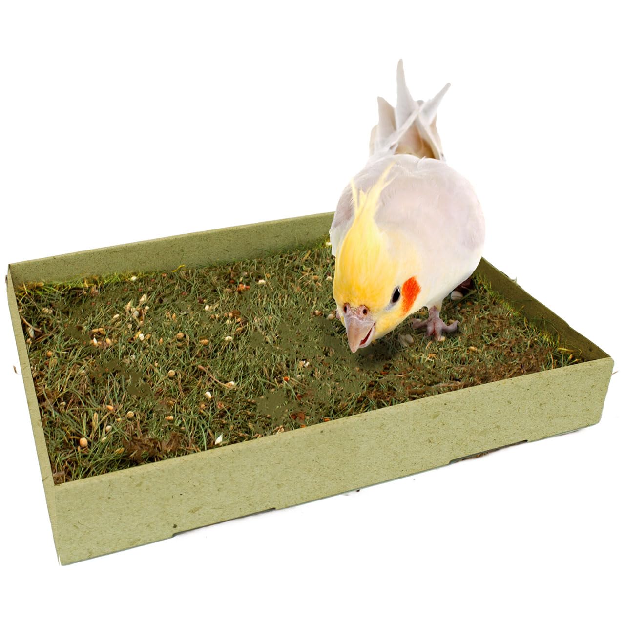 jr-farm-birds-pick-wiese-600-g-nat-rliche-pick-und-scharrwiese-f-r-zierv-gel image 2