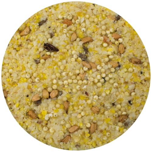 jr-farm-garden-pbar-erdnussbutter-powersaat-350-g-wildvogelfutter image 7
