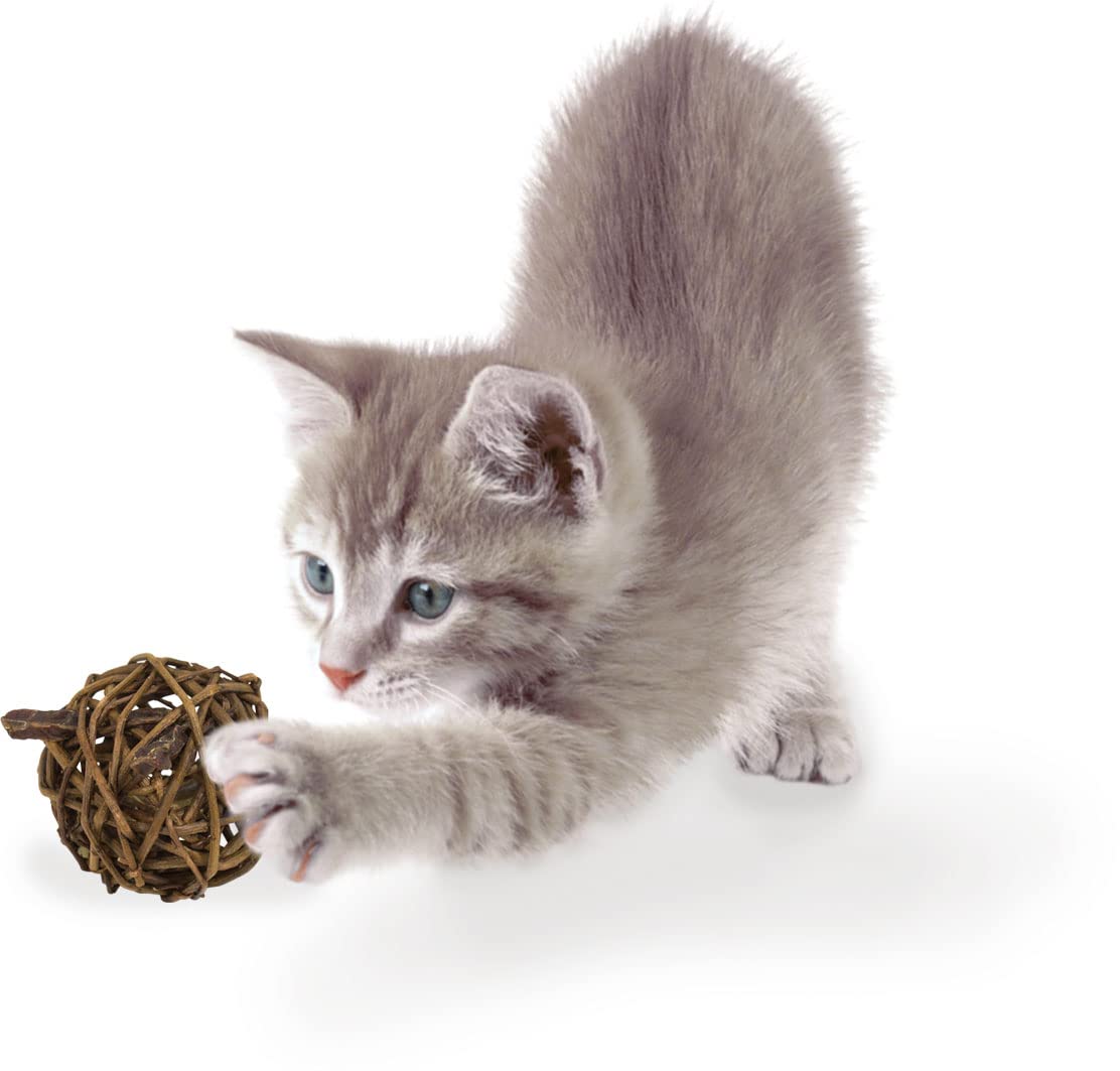 jr-farm-cat-nature-ball-rindfleisch-katzenspielball-aus-weide-15-g image 3