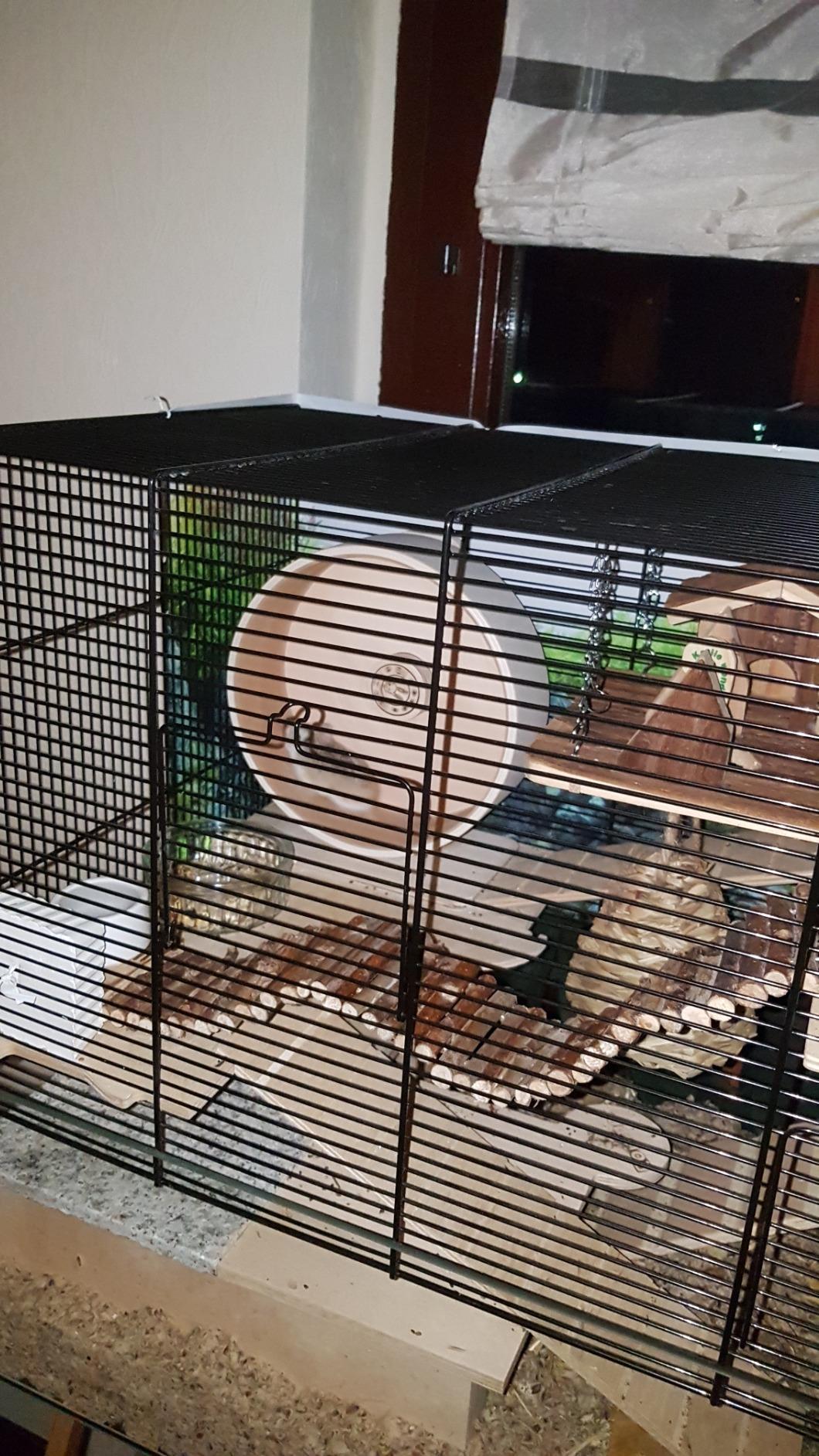 Gut für Zwerge, nichts für Goldhamster
