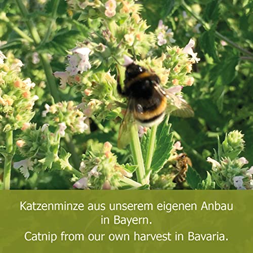 jr-farm-cat-bavarian-catnip-katzenminze-kugel image 7
