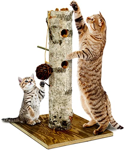 jr-farm-cat-back-to-instinct-nature-active-tree-kratz-und-spielstamm-aus-birke image 5