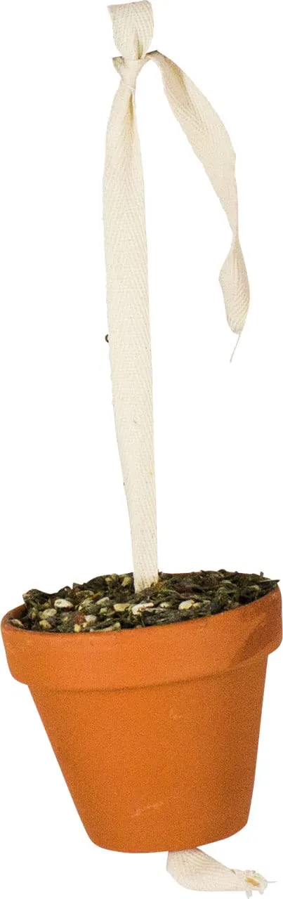 jr-farm-birds-tont-pfchen-gro-sittich-papagei-260-g image 1