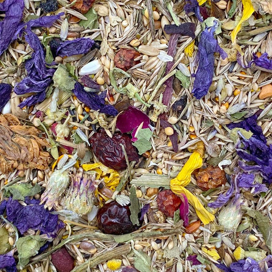 mixerama-nymphensittiche-beeren-bl-ten-vogelfutter-1-kg image 7